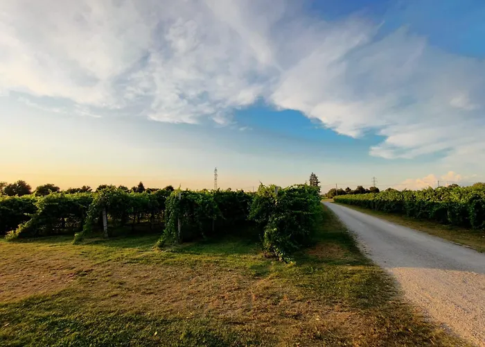 Antico Podere Emilia Reggio nell'Emilia